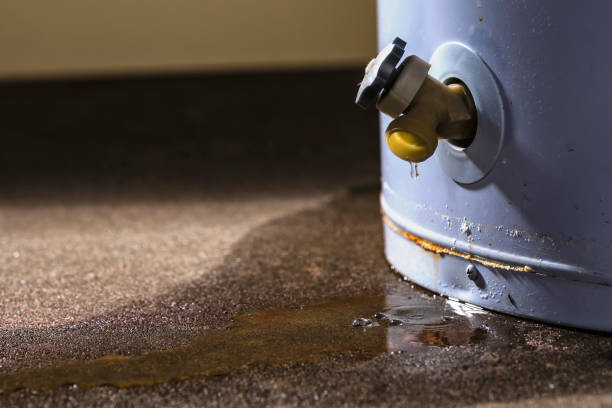 Best Water damage restoration near me  in Vineyard Haven, MA