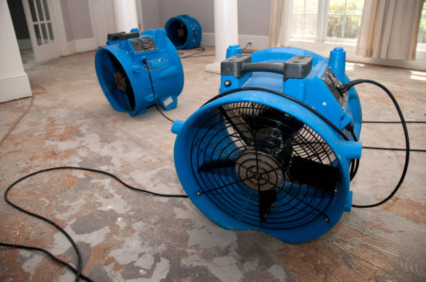 Best Water damage cleanup near me  in Vineyard Haven, MA