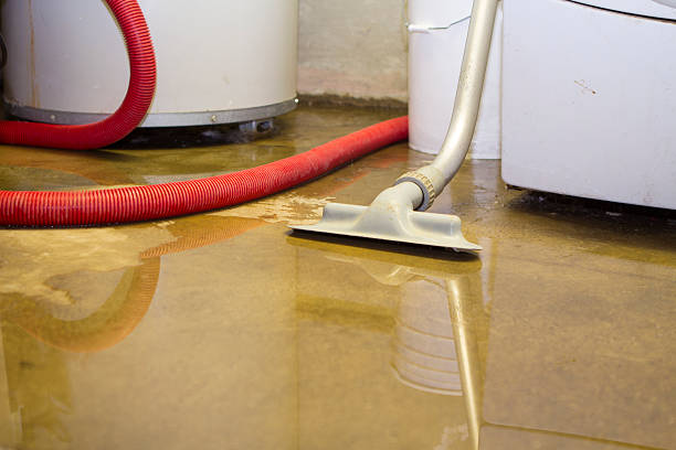 Best Water damage contractors near me  in Vineyard Haven, MA