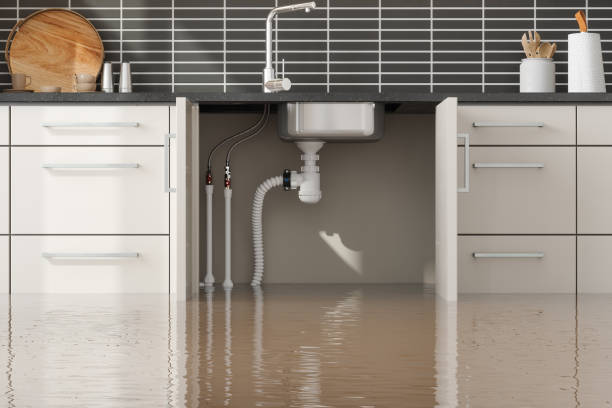 Best Flood restoration services  in Vineyard Haven, MA